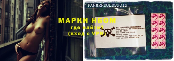 твердый Аркадак