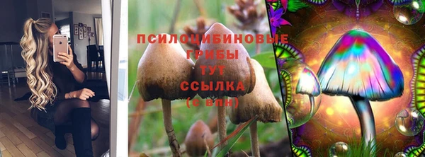 твердый Аркадак