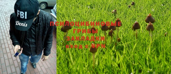твердый Аркадак