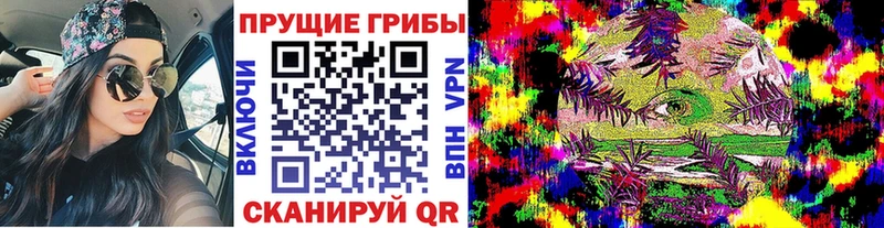 купить   Ржев  Галлюциногенные грибы прущие грибы 